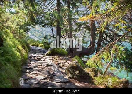 Hautes Tatras - Touristique tour de lac Morskie Oko Banque D'Images