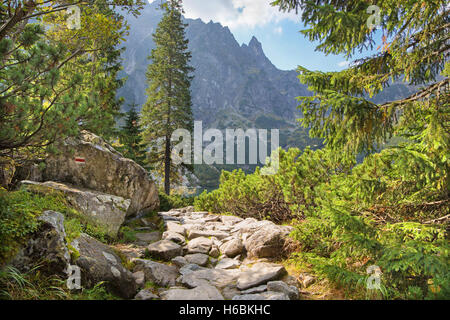 Hautes Tatras - Touristique tour de lac Morskie Oko Banque D'Images