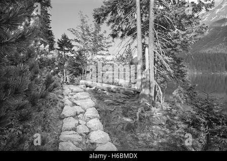 Hautes Tatras - Touristique tour de lac Morskie Oko Banque D'Images