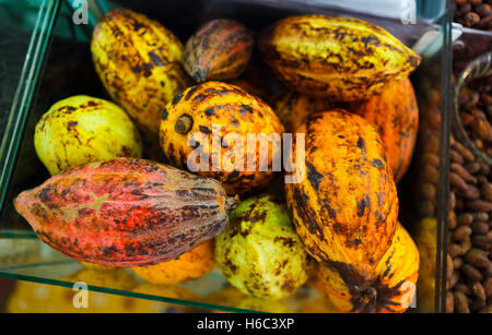 Les cabosses de cacao brut et beens. Cacao frais au shop Banque D'Images