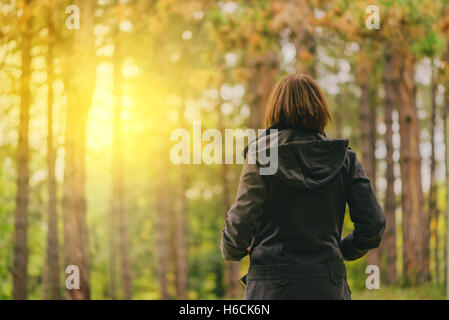 Vue arrière du casual female à à la lumière du soleil du matin à travers des arbres automne parc ou forêt, femme en automne, l'environnement Banque D'Images