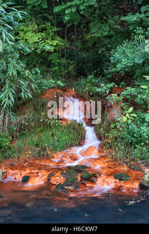 , República Dominicana. Un ruisseau coulant sur grès rouge riche en fer dans la rivière Gaunless Banque D'Images