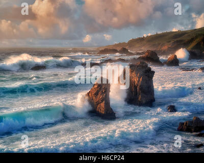 Les vagues, et des rives du lac au coucher du soleil. Garrapata State Park, Californie Banque D'Images