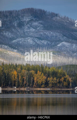 Tourner les arbres d'Automne Couleurs d'automne reflètent sur un lac à Howe Ridge dans le parc national des Glaciers Le 11 octobre 2016 dans le Montana. Banque D'Images