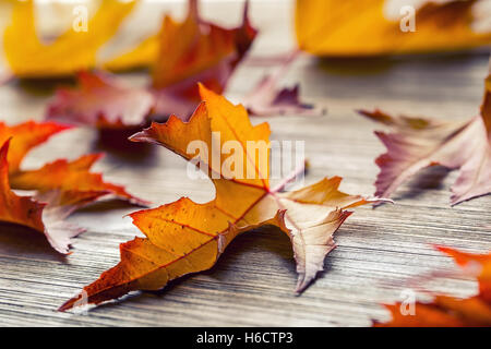 De l'automne. Photo de saison. Les feuilles d'automne en vrac sur une planche de bois. Banque D'Images