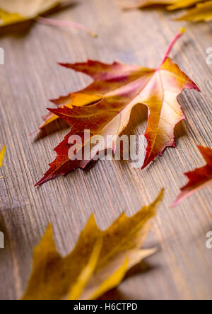 De l'automne. Photo de saison. Les feuilles d'automne en vrac sur une planche de bois. Banque D'Images