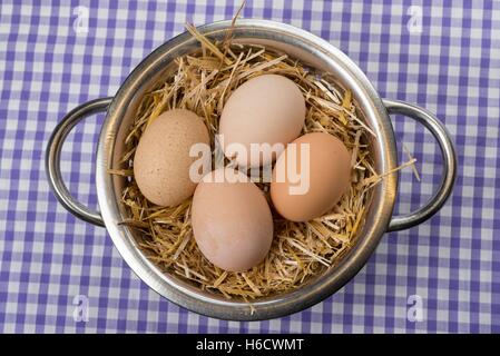 Freash accueil produits poules des œufs. Banque D'Images