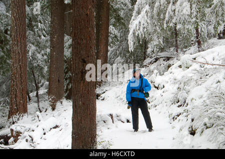 Sentier du lac Marion en hiver, Mt Jefferson Wilderness, forêt nationale de Willamette, Oregon Banque D'Images