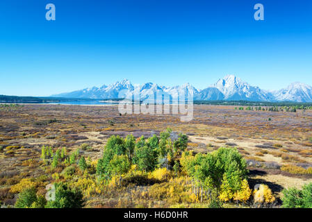 Terrain plat avec la chaîne Teton passant au-dessus de lui dans le Grand Teton National Park Banque D'Images