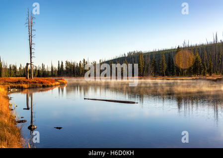 Tôt le matin la vue paysage de la Snake River in Yellowstone National Park Banque D'Images