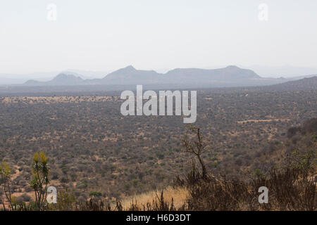Des zones arides semi-arides du paysage de savane avec des collines en arrière-plan Plateau près de Laikipia au Kenya Nanyuki Banque D'Images