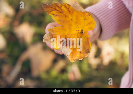 L'automne dans le parc ; petite fille tenant une feuille jaune avec une coccinelle sur elle Banque D'Images