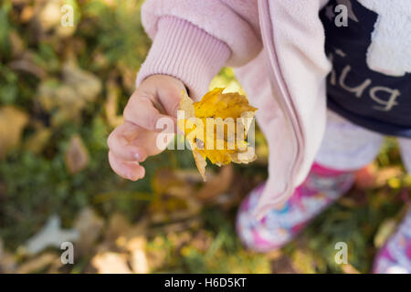 L'automne dans le parc ; petite fille tenant une feuille jaune avec une coccinelle sur elle Banque D'Images