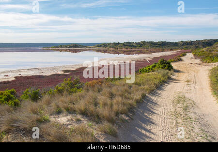 Le Hutt Lagoon, salt lake, avec une teinte rose dans la bouche de Hutt River dans le milieu à l'ouest de l'Australie de l'Ouest. Banque D'Images