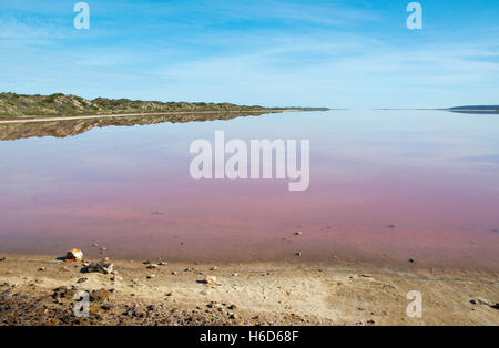 Le Hutt Lagoon, salt lake, avec une teinte rose dans la bouche de Hutt River dans le milieu à l'ouest de l'Australie de l'Ouest. Banque D'Images