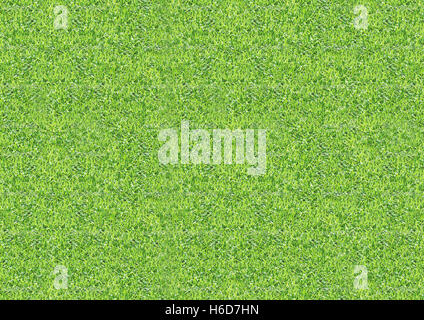 L'herbe verte boucle motif toile texturée Banque D'Images