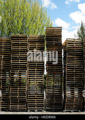 Vertical image des centaines de palettes empilées dans un lot. Banque D'Images