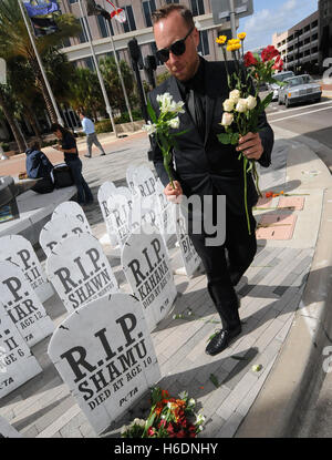 Orlando, United States. 27 Oct, 2016. Le 27 octobre 2016. Des militants de personnes pour le traitement éthique des animaux (PETA) organiser une protestation contre SeaWorld devant l'Hôtel de Ville à Orlando, Floride, le 27 octobre 2016. Des fleurs ont été placées à 38 pierres tombales représentant chaque orca qui est mort jeune alors qu'en soins de SeaWorld. PETA demande au SeaWorld à se départir de leurs autres orques à seaside migrateurs pour empêcher plus de décès prématurés. Crédit : Paul Hennessy/Alamy Live News Banque D'Images