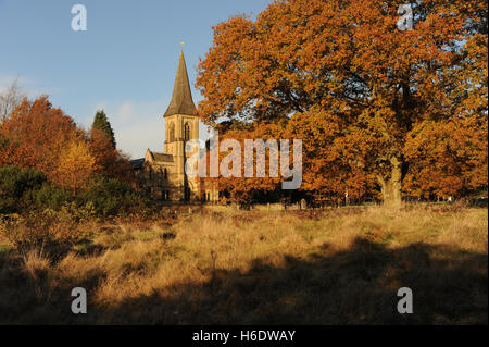 Saint Peter's Church, Tunbridge Wells, Grande-Bretagne. 18 novembre 2016. Parfait bleu ciel de l'église dominant St Pete's Southborough commun avec Automne doré feuilles sur les arbres. Crédit : Tony Rogers/Alamy Live News Banque D'Images