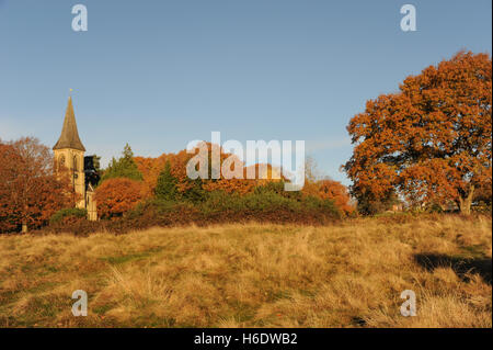 Saint Peter's Church, Tunbridge Wells, Grande-Bretagne. 18 novembre 2016. Parfait bleu ciel de l'église dominant St Pete's Southborough commun avec Automne doré feuilles sur les arbres. Crédit : Tony Rogers/Alamy Live News Banque D'Images