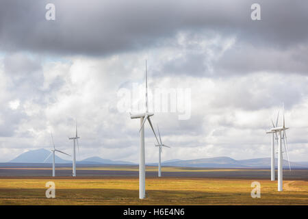 Causeguire Wind Farm, au sud de Thurso, le nord de l'Écosse, Highlands, au Royaume-Uni. La fin d'août la lumière du jour des paysages avec l'énergie éolienne Les éoliennes. Banque D'Images