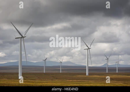 Causeguire Wind Farm, au sud de Thurso, le nord de l'Écosse, Highlands, au Royaume-Uni. La fin d'août la lumière du jour des paysages avec l'énergie éolienne Les éoliennes. Banque D'Images