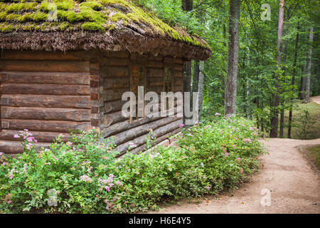 Forêt russe avec vieille maison de bois et de fragments de walking street dans l'heure d'été Banque D'Images