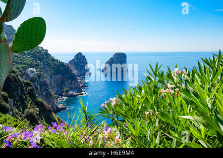 Faraglioni, vu de l'Augustus gardens sur l'île de Capri, Italie. Banque D'Images