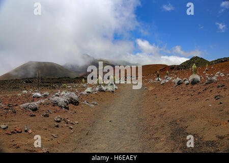 Matin images de la gravure de brouillard dans le cratère de Haleakala colorés dans le Parc National de Haleakala, Maui, Hawaii Banque D'Images