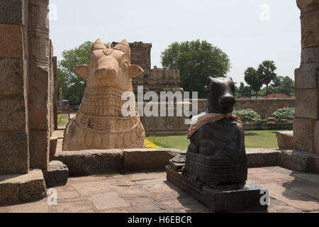 Nandi bull à l'entrée de l'mukhamandapa, Temple de Brihadisvara, Gangaikondacholapuram, Tamil Nadu, Inde. Vue depuis l'Est. Banque D'Images