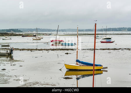 Paysage autour de Larmor-Baden, une commune française, située dans le département de la Bretagne, dans le nord-ouest de la France. Banque D'Images