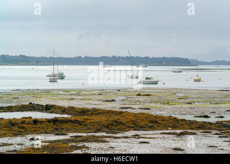 Paysage autour de Larmor-Baden, une commune française, située dans le département de la Bretagne, dans le nord-ouest de la France. Banque D'Images