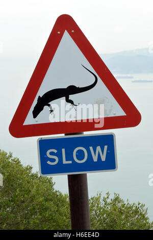 Faible signal routier dans la région de Gibraltar Rock nature reserve met en garde les automobilistes à faire attention aux lézards Banque D'Images