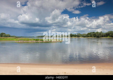 Paysage de l'UNESCO Réserve de la biosphère de l'Elbe en été, Basse-Saxe, Allemagne Banque D'Images