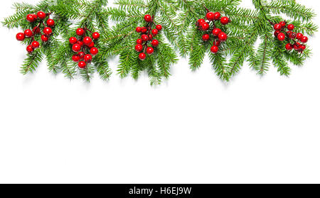 Les branches d'arbre de Noël aux fruits rouges sur fond blanc. Décoration vacances banner Banque D'Images