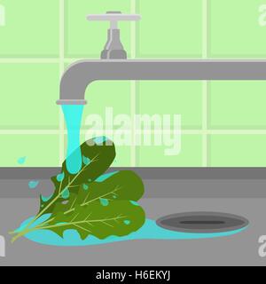 L'arugula nettoyé et lavé dans un évier dans une cuisine. L'eau courante. Illustration de Vecteur