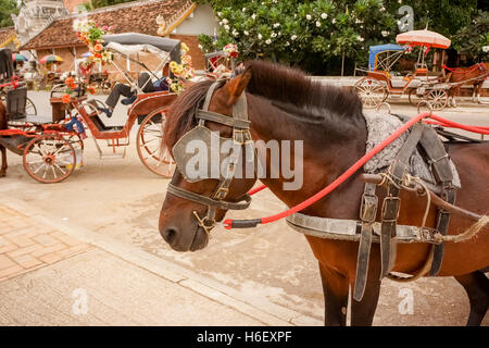 Conte de fées cheval cabine chariot Banque D'Images