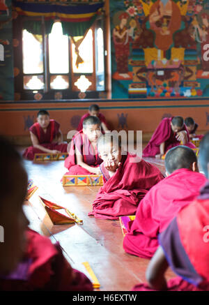 Les moines novices à Mongar studing Dzong. Banque D'Images