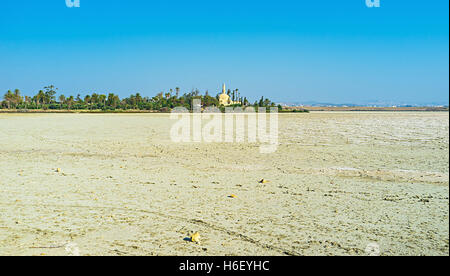 Le taris lac salé de Larnaca avec l'ancienne mosquée sur sa banque parmi la végétation luxuriante, à Chypre. Banque D'Images