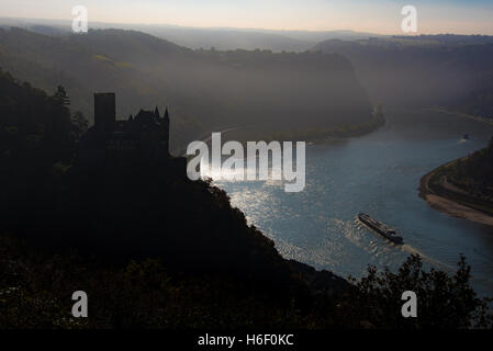 Burg Katz château dans la brume du matin, le brouillard d'automne de la vallée du Rhin Banque D'Images