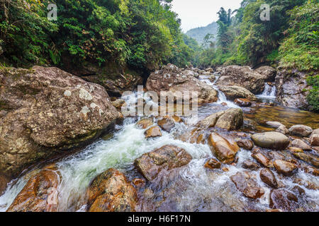 Rivière qui coule à travers la roche ravin en forêt tropicale de Cat Cat Village, Sa Pa, Vietnam. Banque D'Images