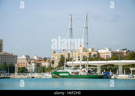 Greenpeace Rainbow Warrior III nouveau navire amarré au port de Malaga, Andalousie, espagne. Banque D'Images