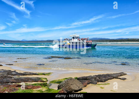 Explorer, bateau d'observation des baleines Merimbula, New South Wales, NSW, Australie Banque D'Images