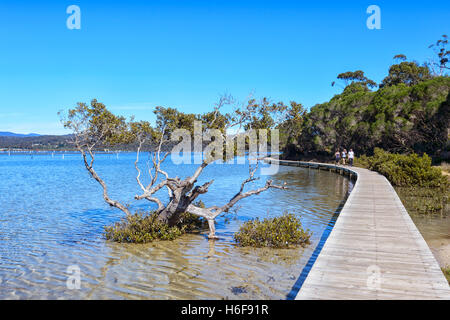 Les gens qui marchent sur la promenade le long du lac de Merrimbula, Sapphire Coast, New South Wales, NSW, Australie Banque D'Images