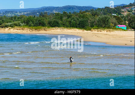 Surfer en se promenant dans les vagues avec sa planche de surf, Merimbula, Sapphire Coast, New South Wales, NSW, Australie Banque D'Images