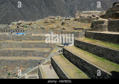 Les gens montent des terrasses agricoles sur les ruines Incas de Ollantaytambo dans la vallée sacrée du Pérou. Banque D'Images