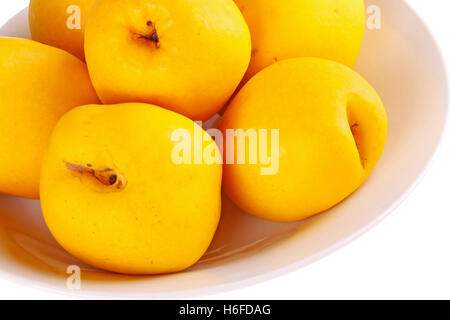 Close-up d'un bol de fruits mûrs, jaune de la floraison ou de coing japonais (Chaenomeles hybrides) isolés contre un blanc retour Banque D'Images