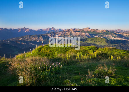 Vue depuis Riedberger Horn, Riedbergerhorn, Widderstein et Hoher Ifen dans les Alpes d'Allgäu derrière, en haut, de l'Allgäu Souabe, de l'Allgäu Banque D'Images