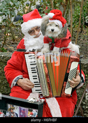 L'homme et le chien déguisé en Père Noël et à l'accordéon, Nuremberg, Bavière Banque D'Images