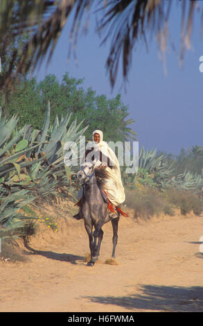 La Tunisie, de l'Île Houmt Souk, rider près de Midoun. Banque D'Images